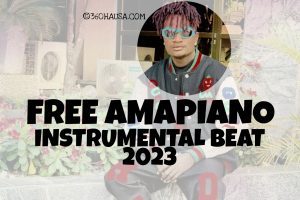 FREEBEAT: Chapter X ( Marvin Amapiano Instrumental Beat Type ) 
